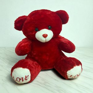 Love Teddy